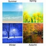 Seasonal graphic symbolizing changing financial goals